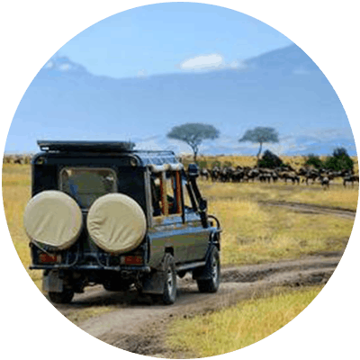 Sub header Negara Golden Rama 5 africa